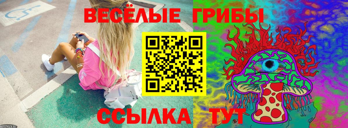 Галлюциногенные грибы Psilocybe Зима