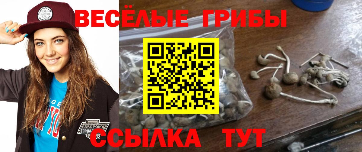 Зима  Псилоцибиновые грибы мицелий  Вход с VPN 
