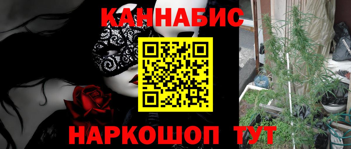 Бошки Шишки VHQ  Бошки Шишки сатива  Зима  Вход с VPN 